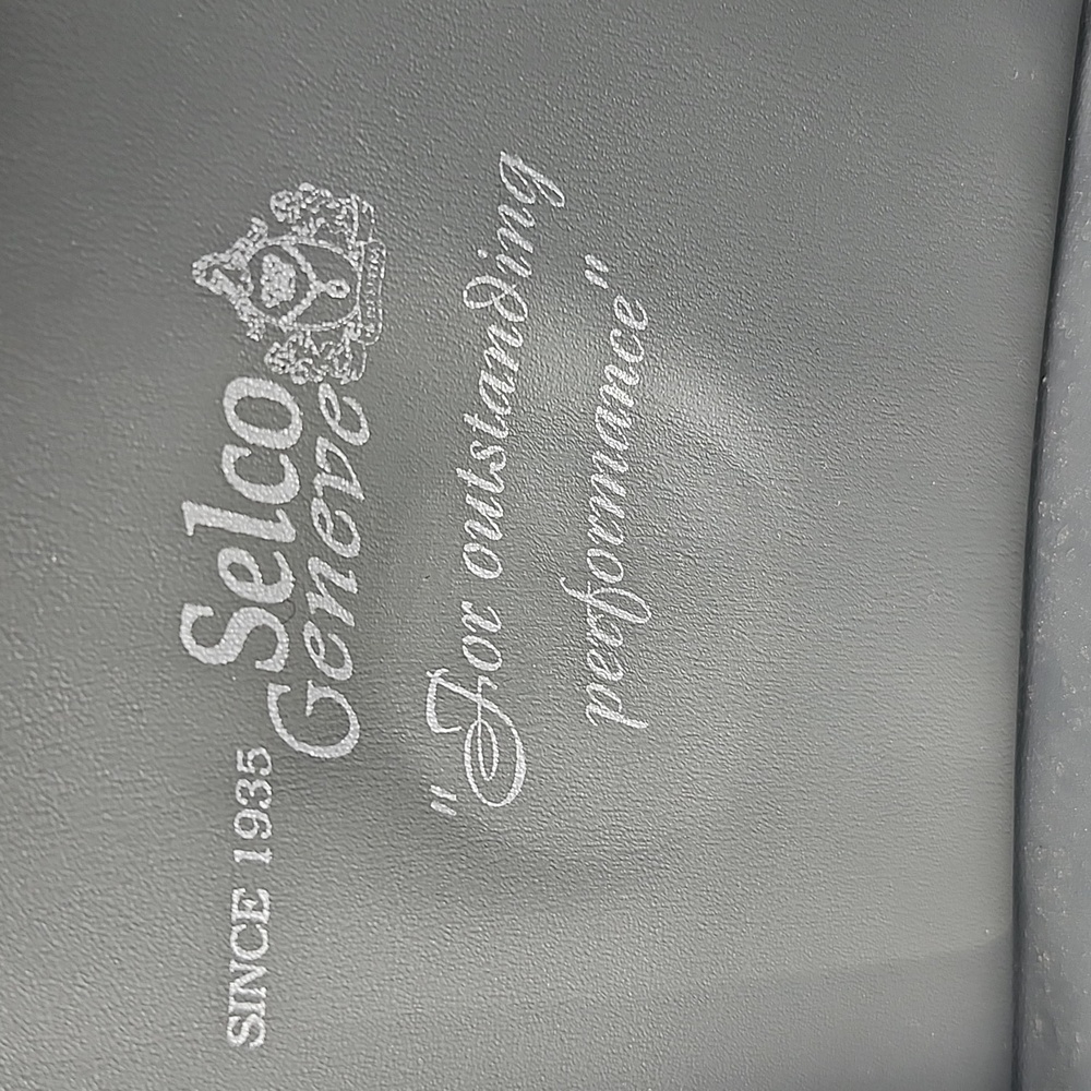 Ventage Geneve mens watch